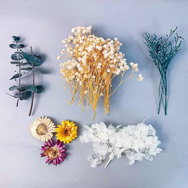 다양한 건조 꽃 세트 1팩 DIY 공예 홈 웨딩 장식  - Craft Embellishment 리뷰 및 가격