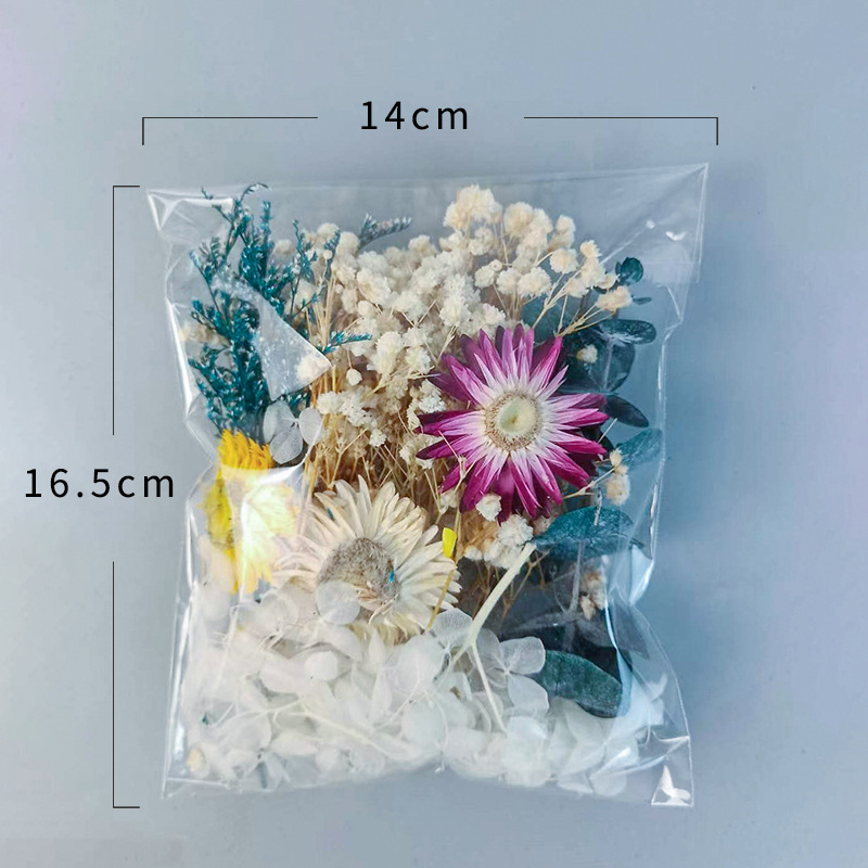 다양한 건조 꽃 세트 1팩 DIY 공예 홈 웨딩 장식  - Craft Embellishment 리뷰 및 가격